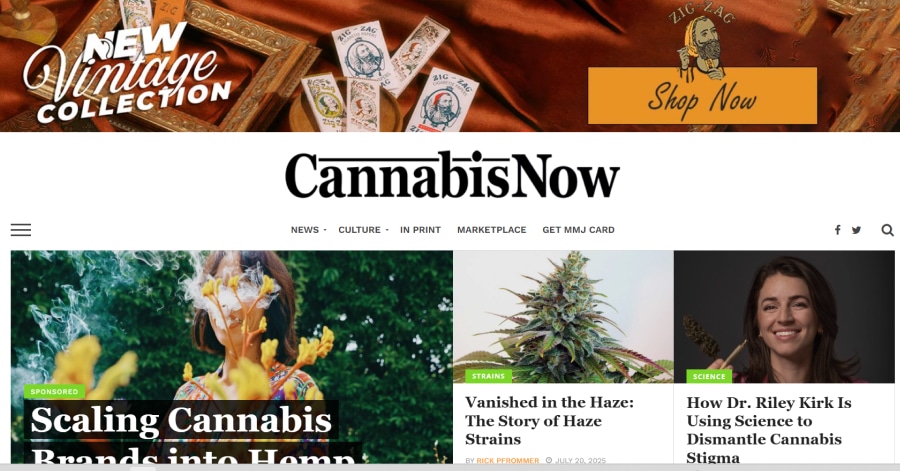 Cannabis Now - Cannabis Web Design