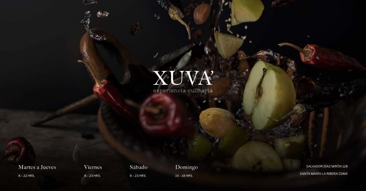 xuva modern website example