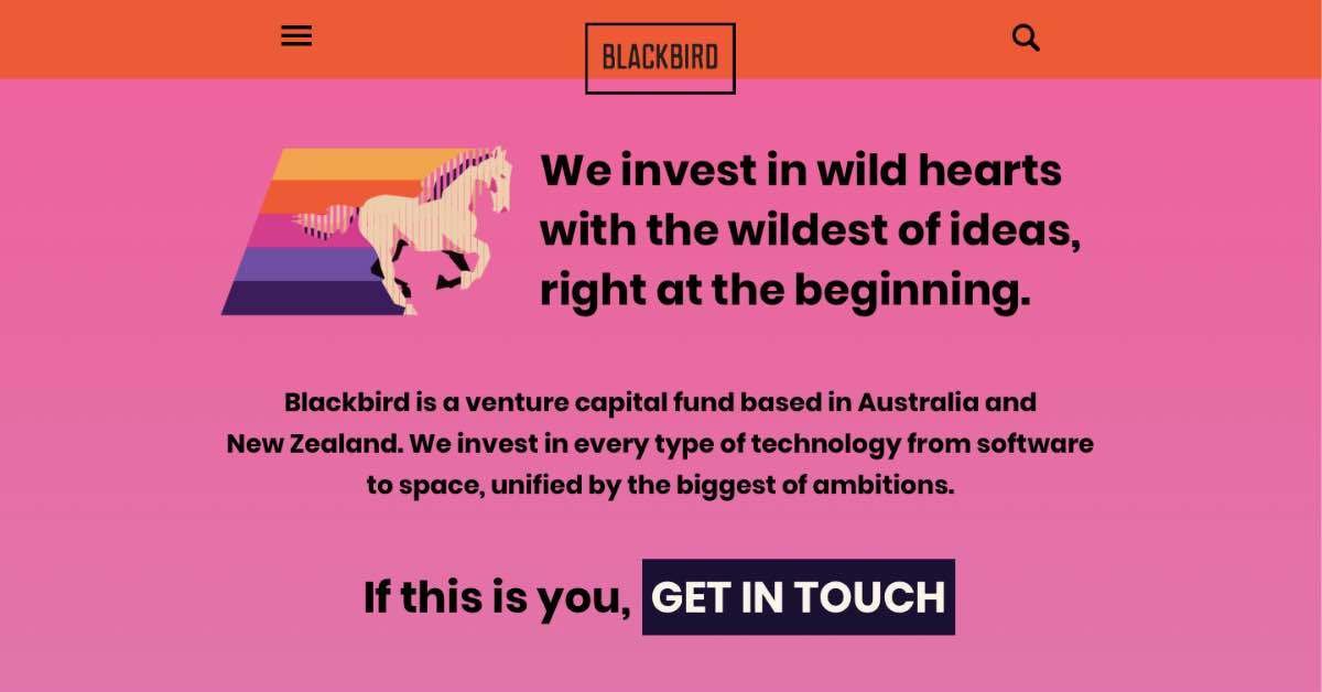Blackbird Venture Capital Website Example