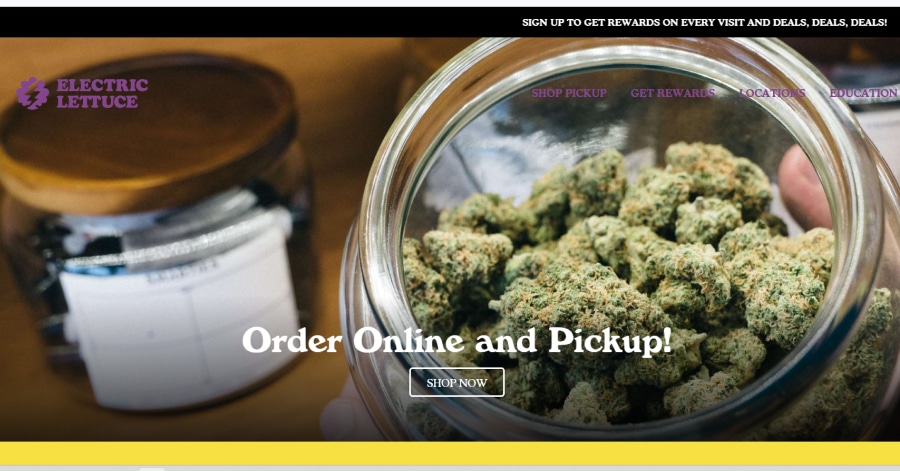 Electric Juice - Cannabis Web Design
