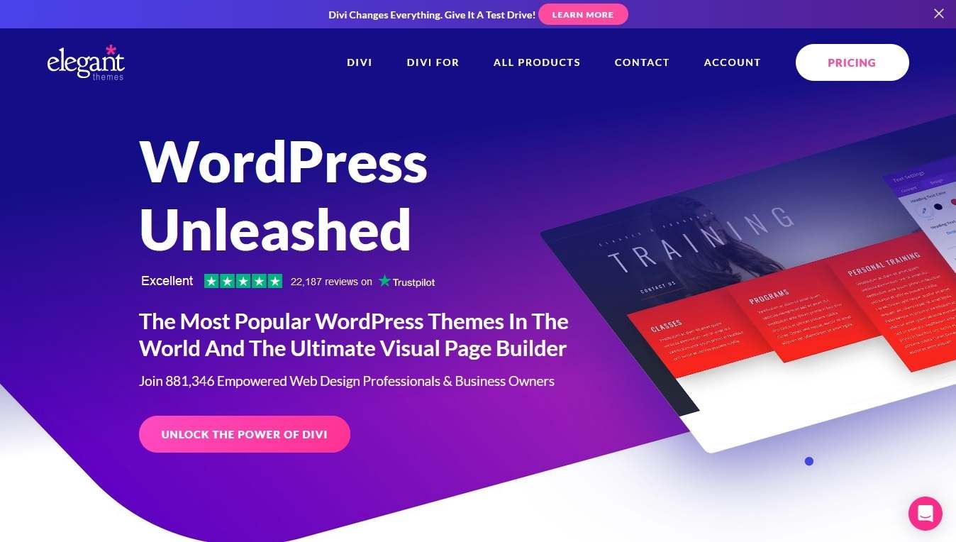Elegant Themes - WordPress Website Example