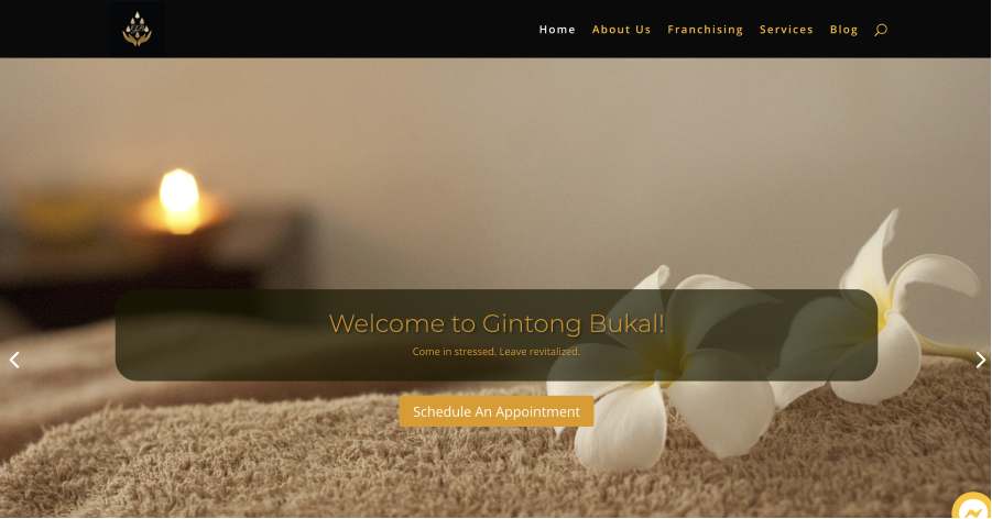 Gintong Bukal Beauty Website Example