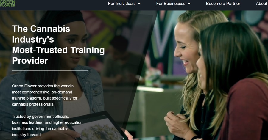 Green Flower - Cannabis Web Design