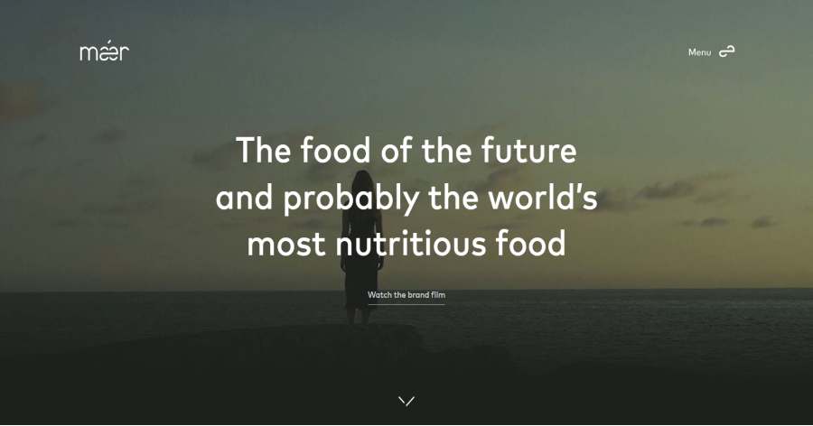 Maer - Food Website Example