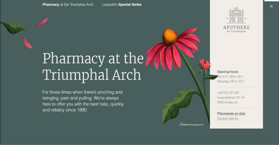 Pharmacy at the Triumphal Arch - Pharmacy Website Examples