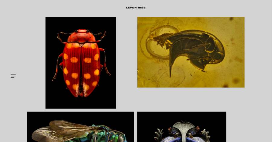 Levon Biss Photography Website Example