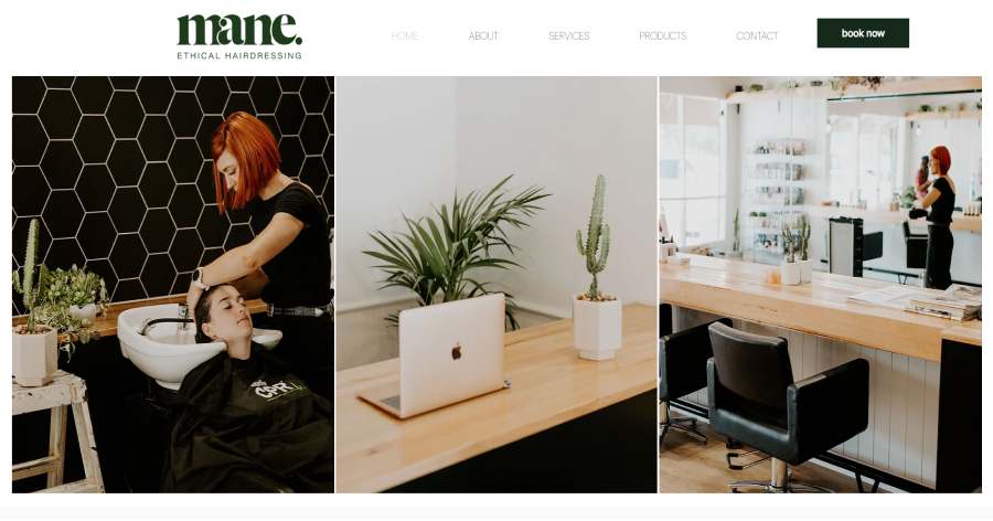 Mane - Wix Business Examples