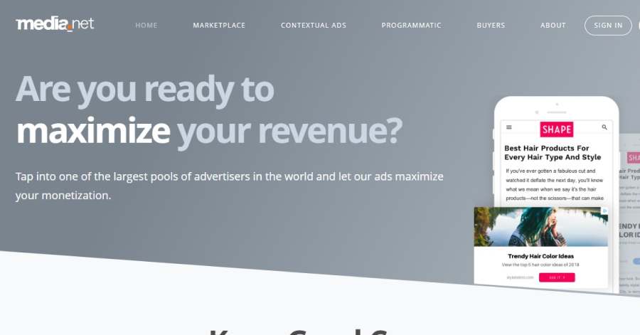 Media.net - Adsense Website Examples