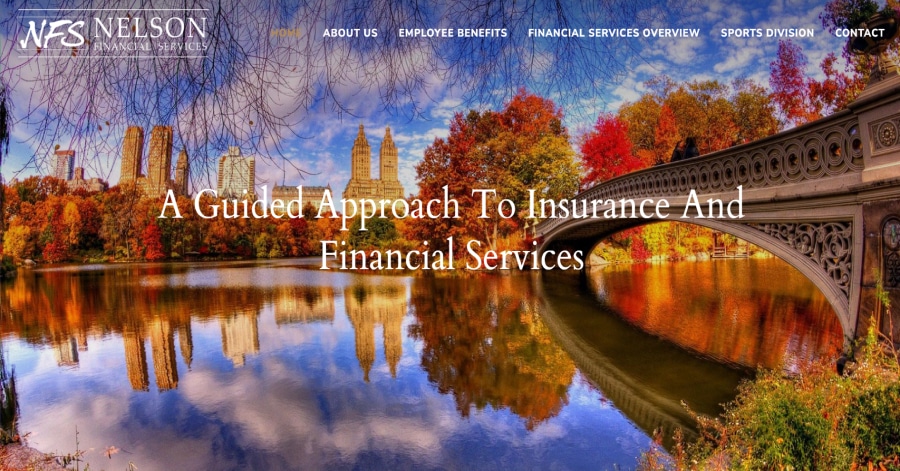 Nelson - Advisor Website Design