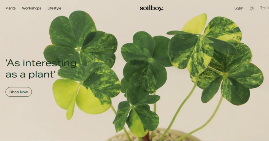 Soilboy - Squarespace Business Websites
