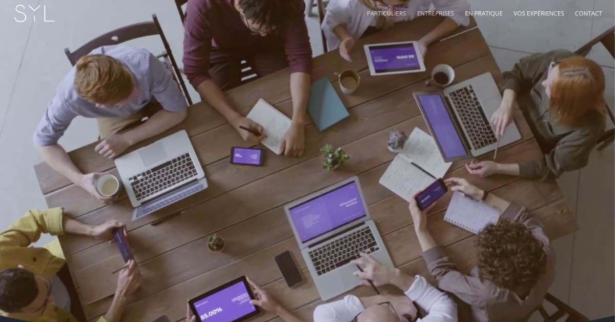 Syl Webdesign Website Example