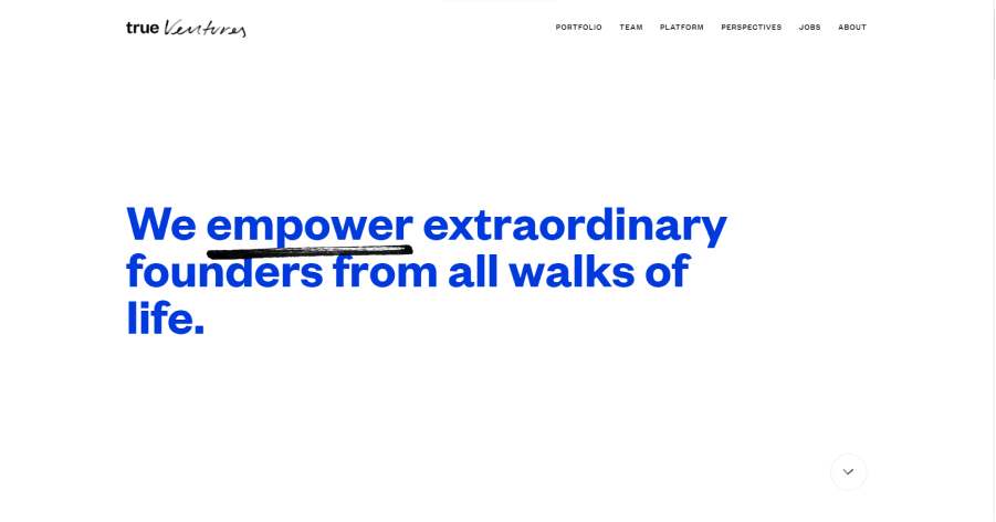 True Ventures - Homepage Website Example