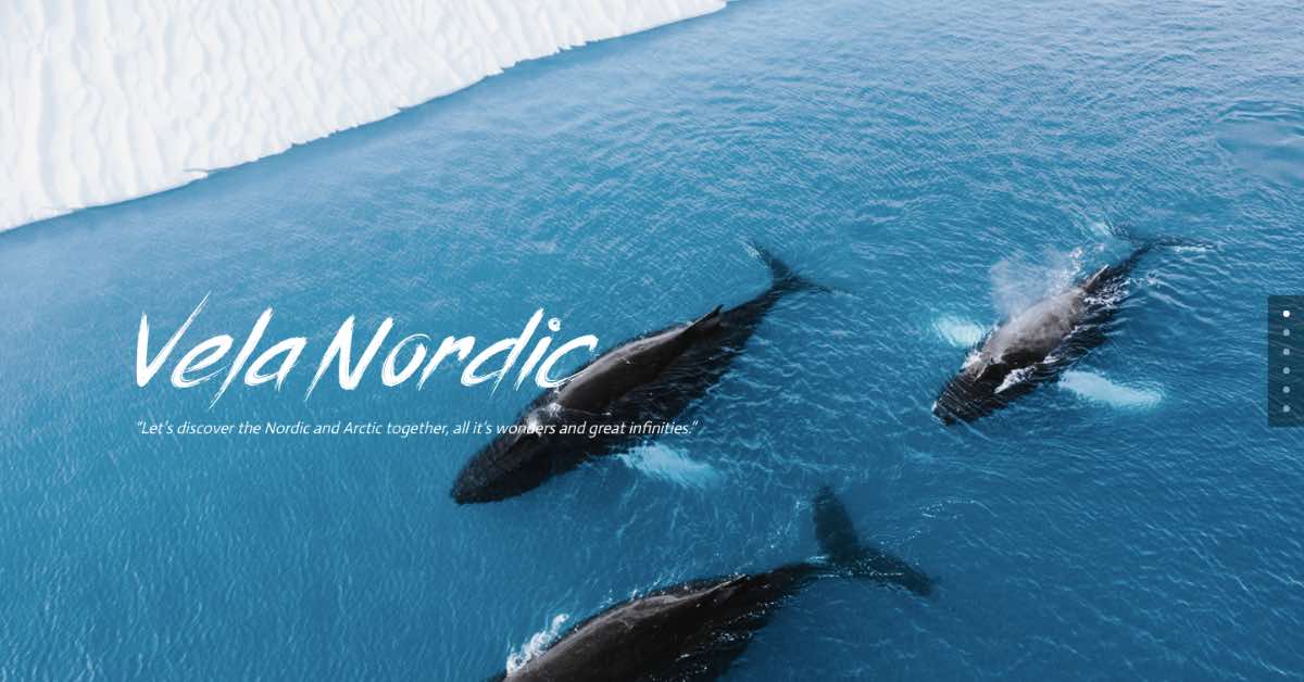 Vela Nordic Tourism Website Example